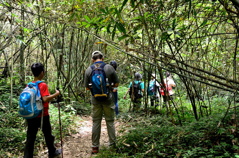 坪頂古圳 坪頂古圳