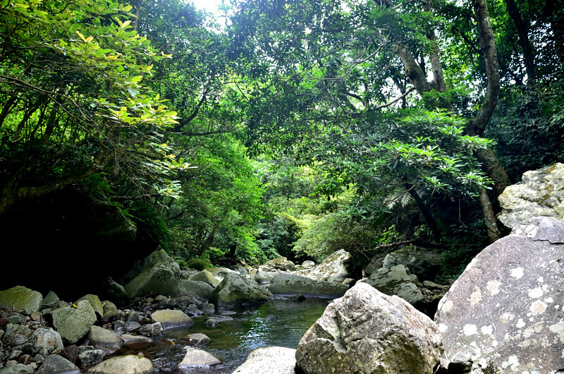 坪頂古圳