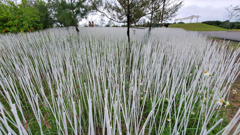 壯圍沙丘地景藝術節 坡白留青