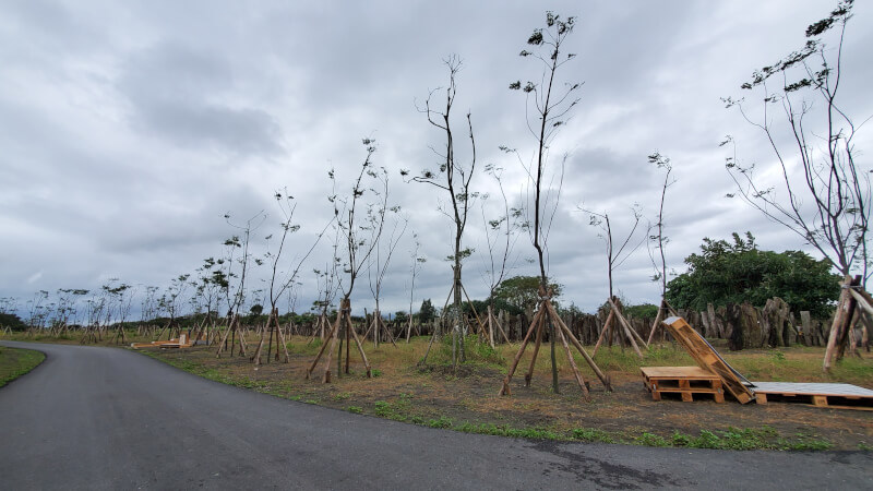 壯圍沙丘地景藝術節 漂流木 壯圍沙丘地景藝術節 漂流木