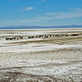 Picture 040 Altiplano Great Plain.jpg