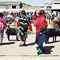 Picture 100 Saquisili Market Piggie.jpg