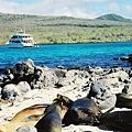 16a Santa Cruz Island
