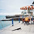 17 Puerto Ayora.jpg
