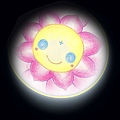 11 黑洞中的太陽(小圓圖).jpg