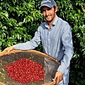 Ecuador - Vilcamba Coffee bean.jpg