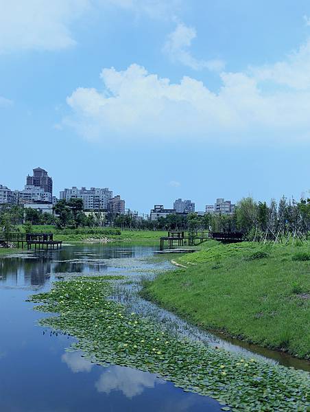 1-4生態公園埤塘