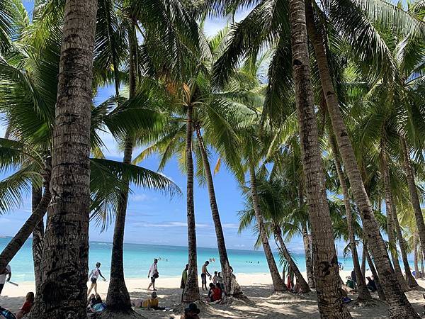 IMG_5870.JPG IMG_5870.JPG