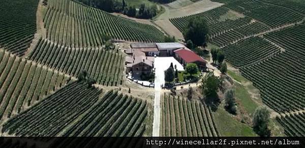 vineyard vineyard