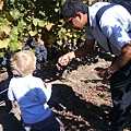 Monticello Vineyard: cute boy and his dad