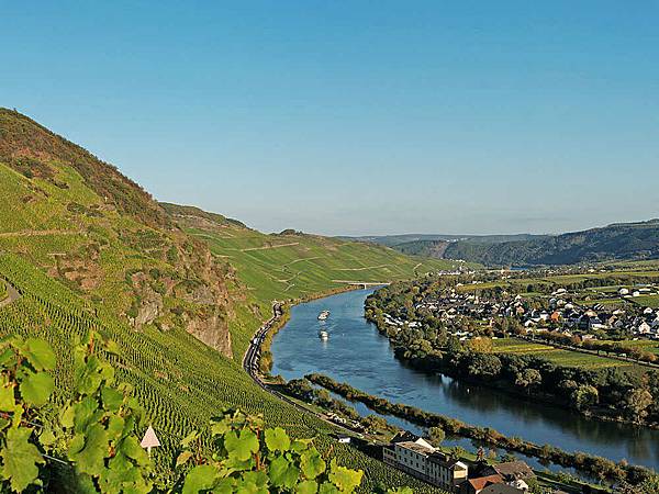 mosel-2120bb340da6736a6a3c14b9bd17bfb8c8e51dcb-s1100-c50