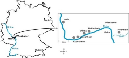 Map-of-the-German-grapevine-growing-region-Rheingau-Vineyards-used-for-sampling.png