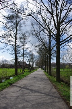 IMGP2815