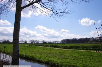 IMGP2875