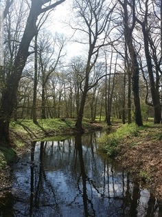 20160412_123827