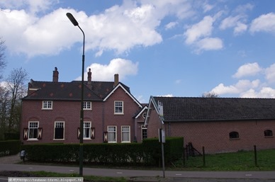 IMGP3350