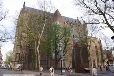 IMGP3359