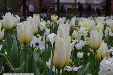 IMGP3856 IMGP3856