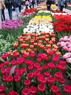 20160414_121635 20160414_121635
