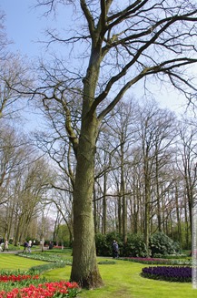 IMGP4774 IMGP4774