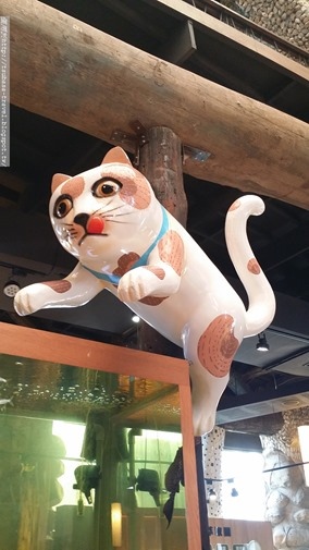 20170129_143559 20170129_143559