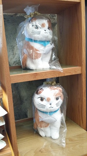 20170129_143755 20170129_143755