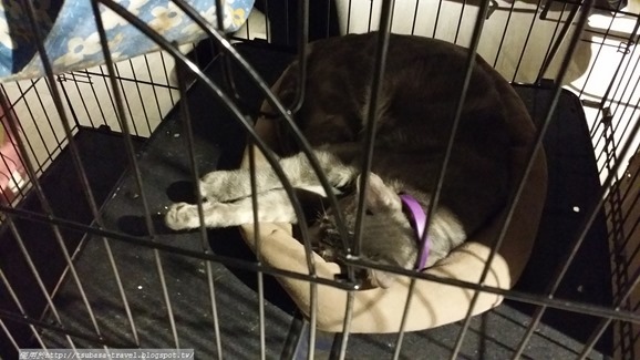 20170416_174130 20170416_174130