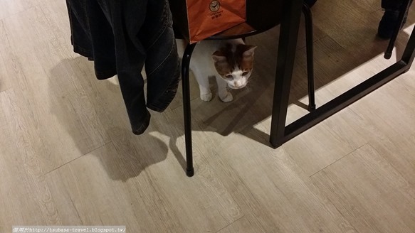 20170416_173247 20170416_173247