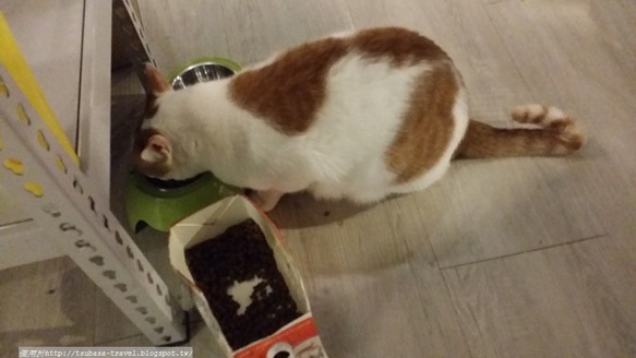 20170416_174053 20170416_174053