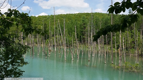 20170530_135638 20170530_135638