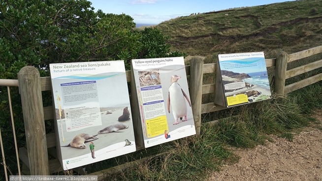 IMG_20180402_145035 IMG_20180402_145035