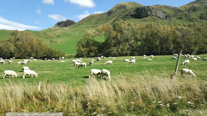 IMG_20180403_141608 IMG_20180403_141608