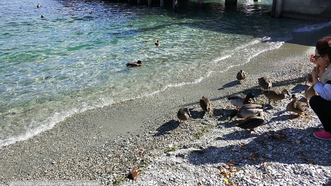 IMG_20180405_142259 IMG_20180405_142259