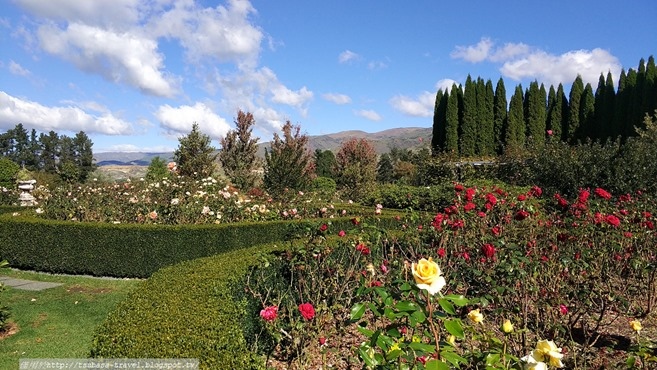 IMG_20180407_130852 IMG_20180407_130852