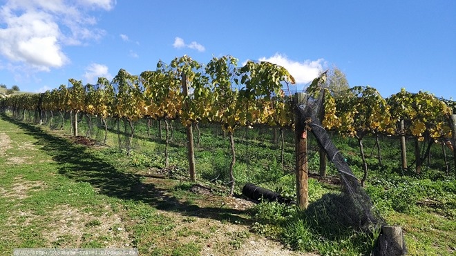 IMG_20180407_132847 IMG_20180407_132847