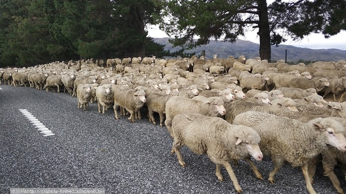 IMG_20180408_095620_1 IMG_20180408_095620_1