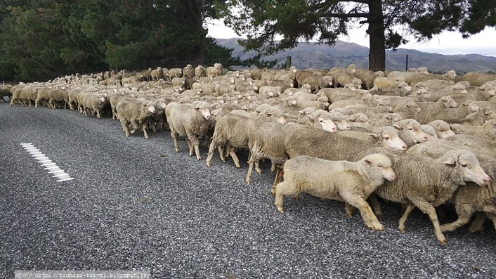 IMG_20180408_095622_1 IMG_20180408_095622_1