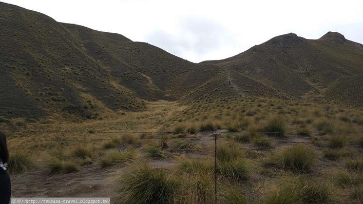 IMG_20180408_103234 IMG_20180408_103234