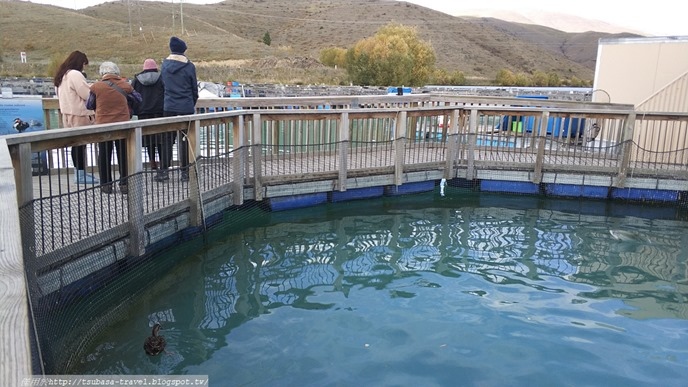 IMG_20180408_113021 IMG_20180408_113021