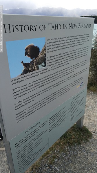 IMG_20180408_131703 IMG_20180408_131703