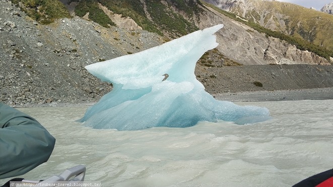 IMG_20180408_162513 IMG_20180408_162513