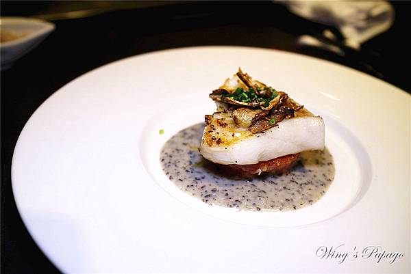 IMG_9419.jpg IMG_9419.jpg