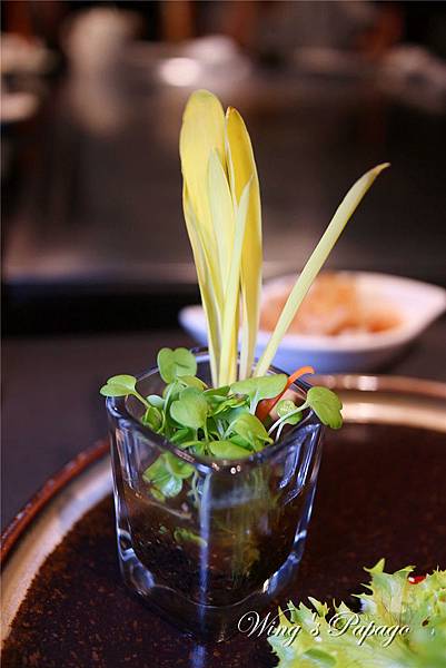 IMG_9437.jpg IMG_9437.jpg