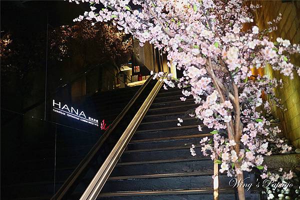 IMG_9486.jpg IMG_9486.jpg