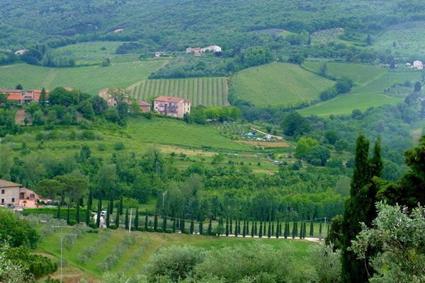 TOscaP1220785.JPG