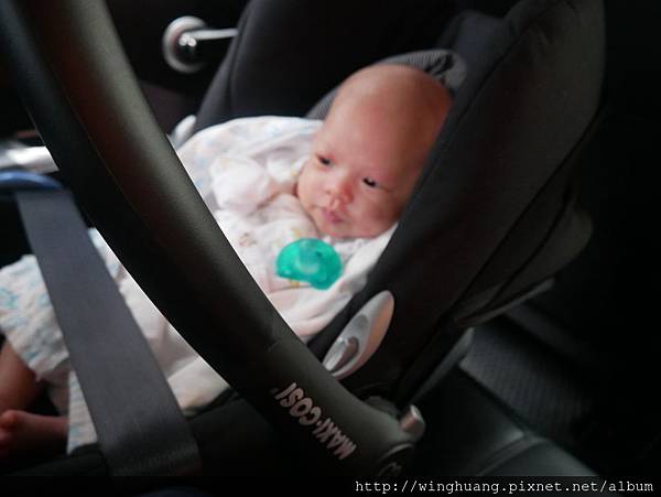 P1000253.JPG P1000253.JPG