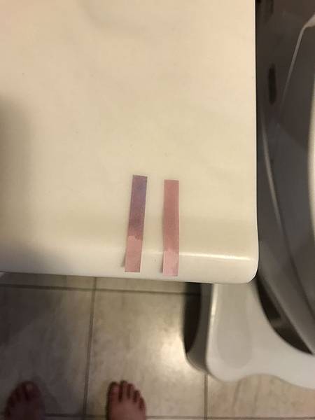 IMG_8379.JPG IMG_8379.JPG