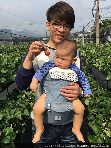 IMG_8307.JPG IMG_8307.JPG