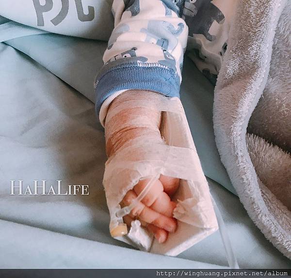 S__23060546.jpg S__23060546.jpg