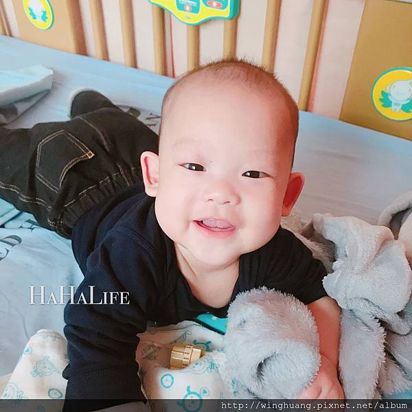 S__23060547.jpg S__23060547.jpg